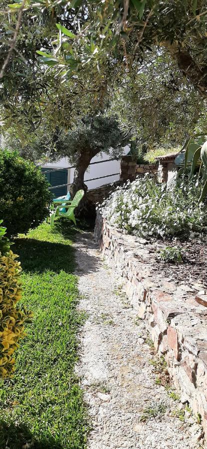 Casa Do Alecrim Villa Penha Garcia Dış mekan fotoğraf
